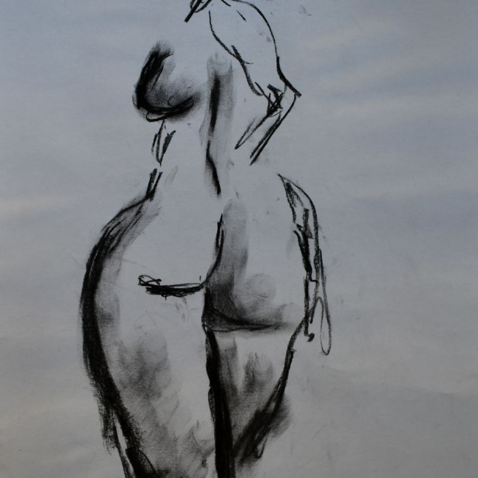 T501
Original kultegning
A3 format 29 x 42 cm
signeret
Pris pr. stk. dkr. 300
2 stk. dkr. 500