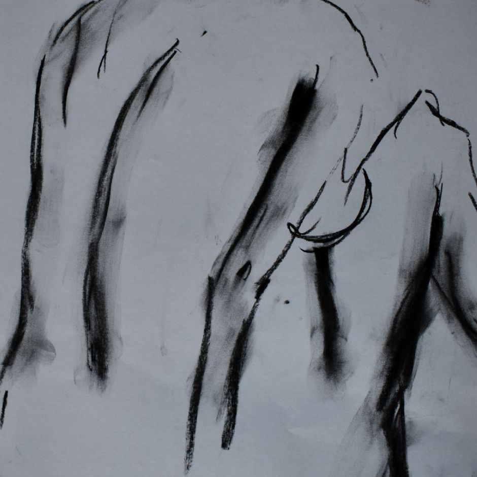 T501
Original kultegning
A3 format 29 x 42 cm
signeret
Pris pr. stk. dkr. 300
2 stk. dkr. 500